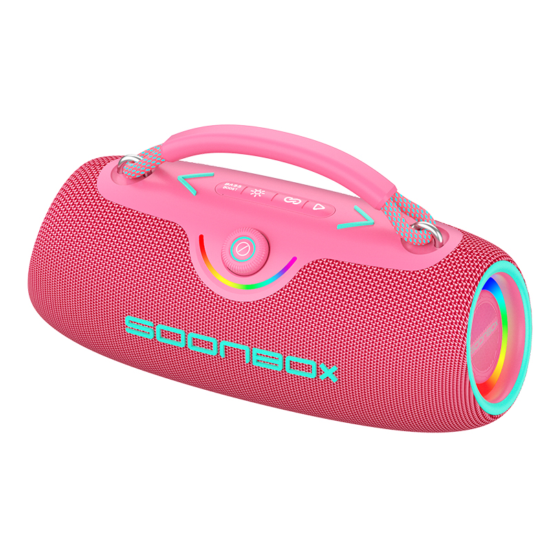 SOONBOX-S9702 with DSP, 80W